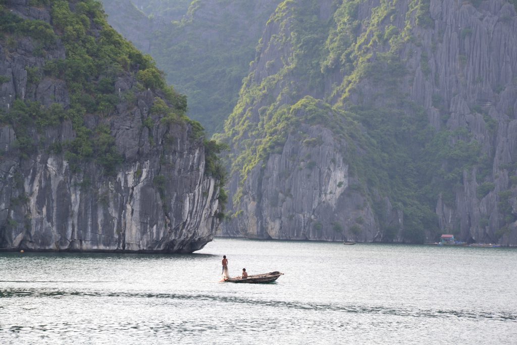 Landschaft der Halongbucht in Vietnam