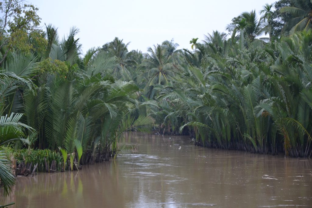 Foto aus dem Mekong Delta