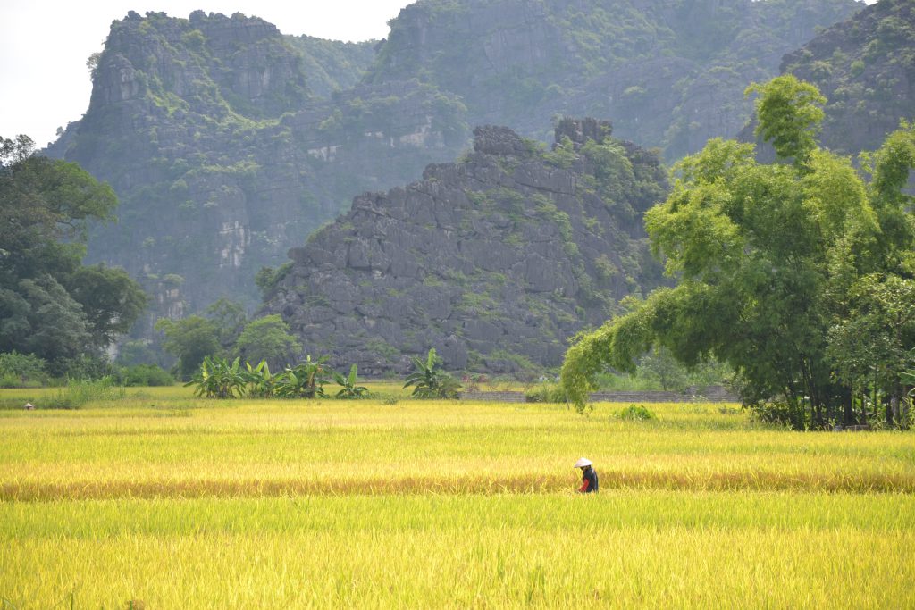 Landschaft in Nin Binh, Vietnam