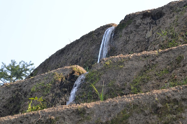 livelihood for over 700 years