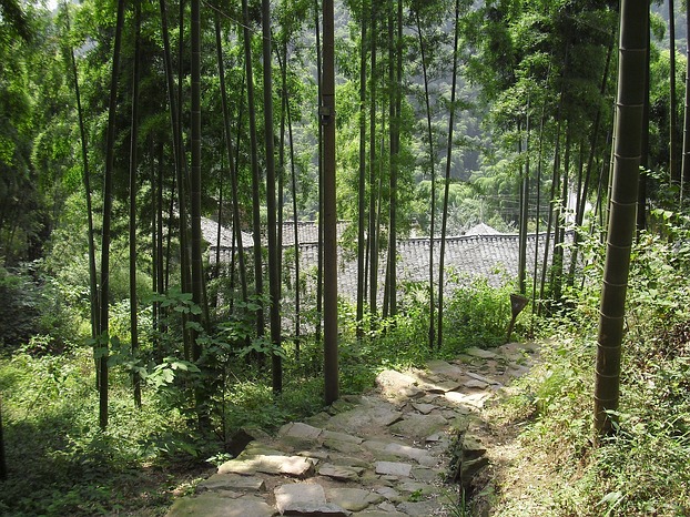 The Eco Hotel 'Naked Retreats' is located right in the middle of the bamboo forest (Image: Masan / Martin Seibel)