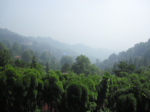 View over bamboo forests high on Moganshan (Image: Masan / Martin Seibel)