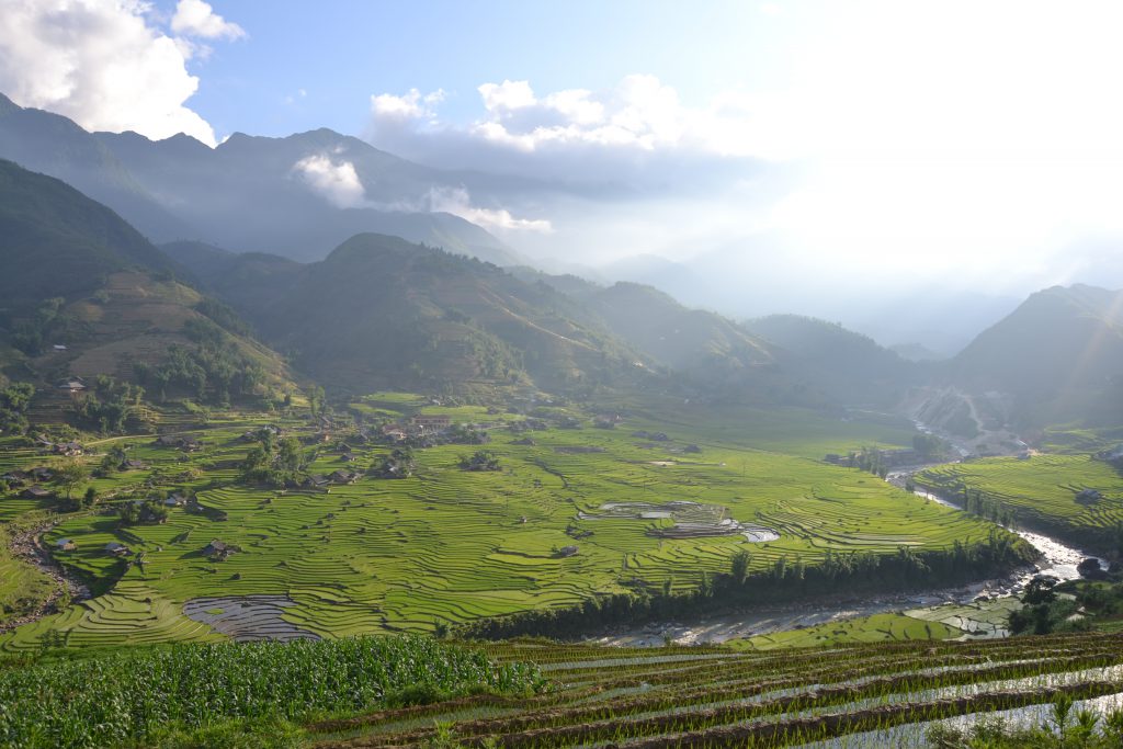 Landschaft in Sapa, Reisterrassen