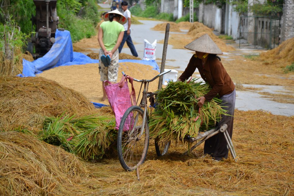 Straßenszene in Nin Binh, Vietnam