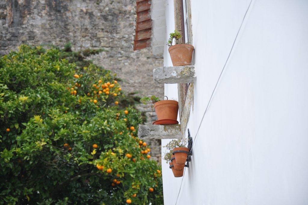 Óbidos, Portugal