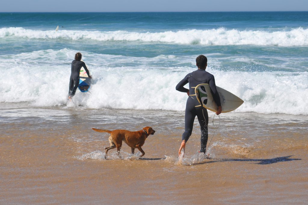 Praia Grande do Guincho