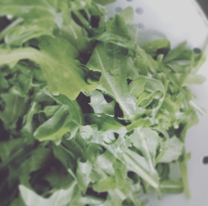 Ruccola