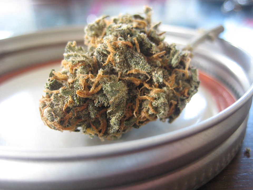 CBD ÖL - Cannabis - Rick Simpson