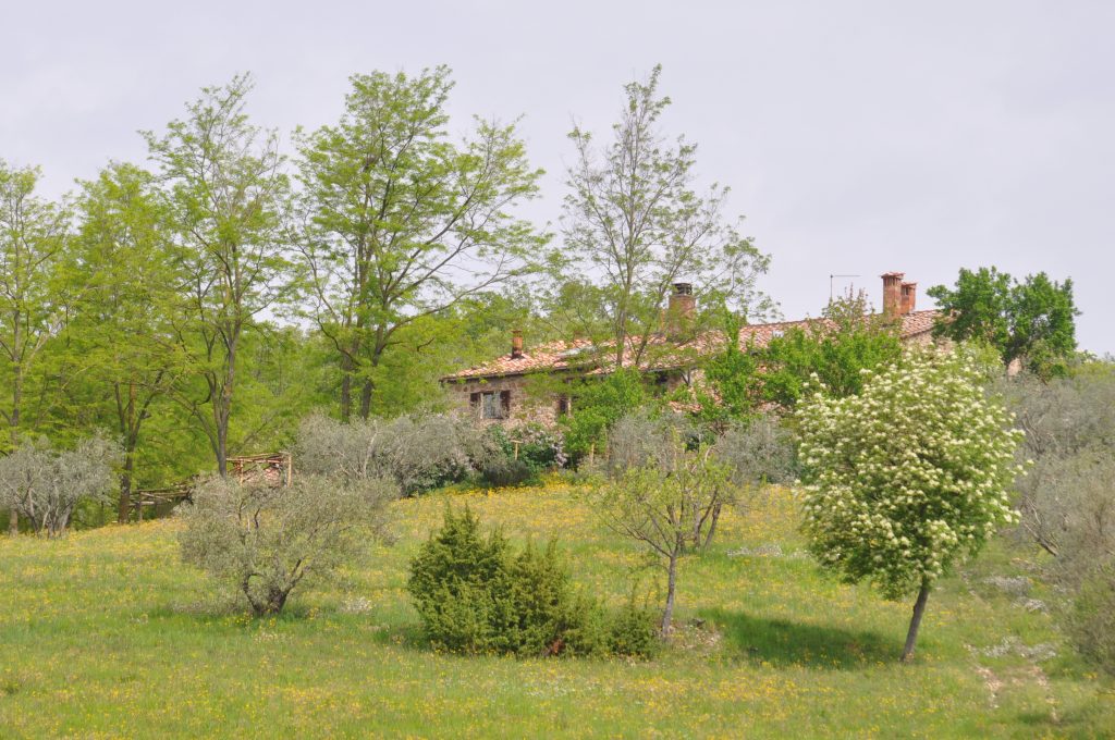 Podere Le Querci Toskana die perfekte Unterkunft für Familien in der Toskana