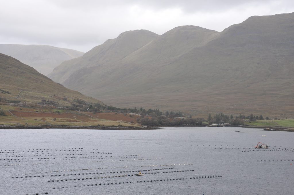 Connemara Loop, Galway, Irland