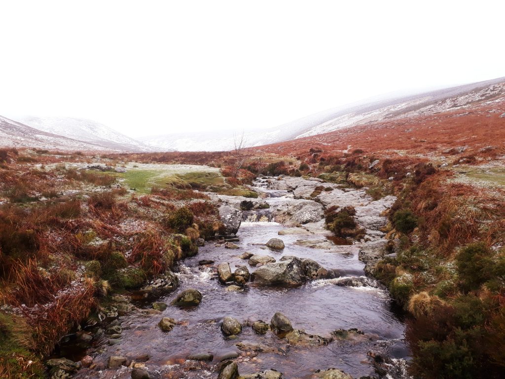 Irland Wicklow Way