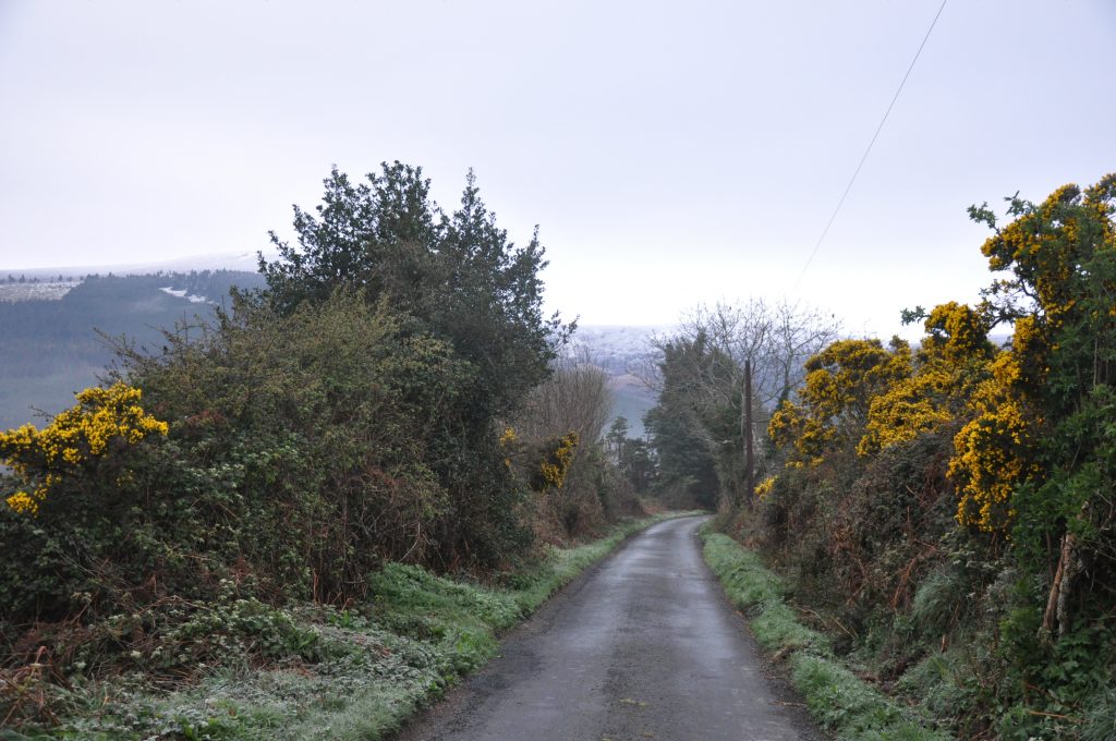 Irland Wicklow Way