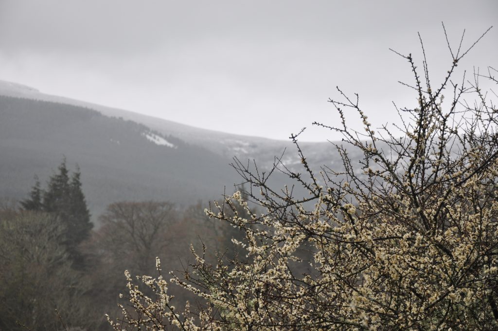 Irland Wicklow Way