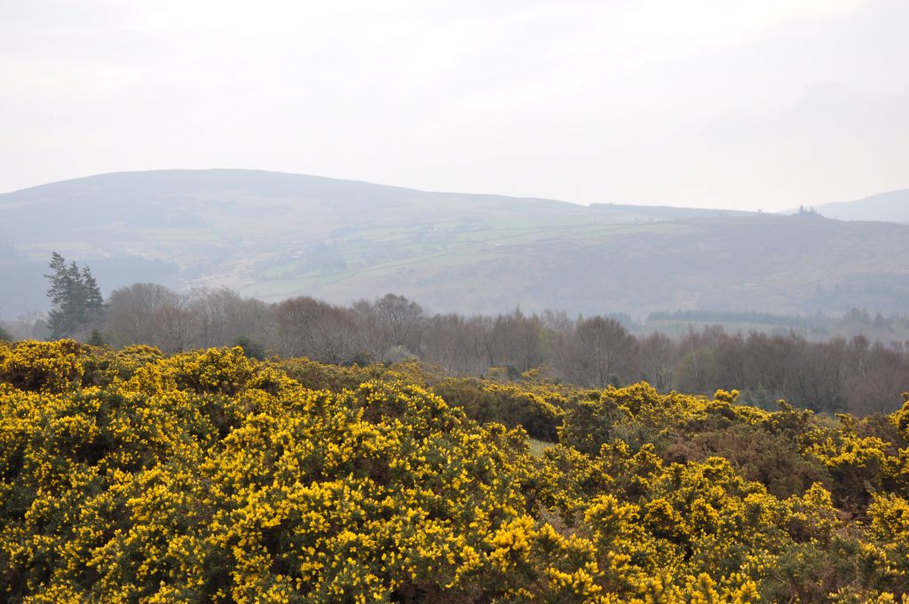 Wicklow Way