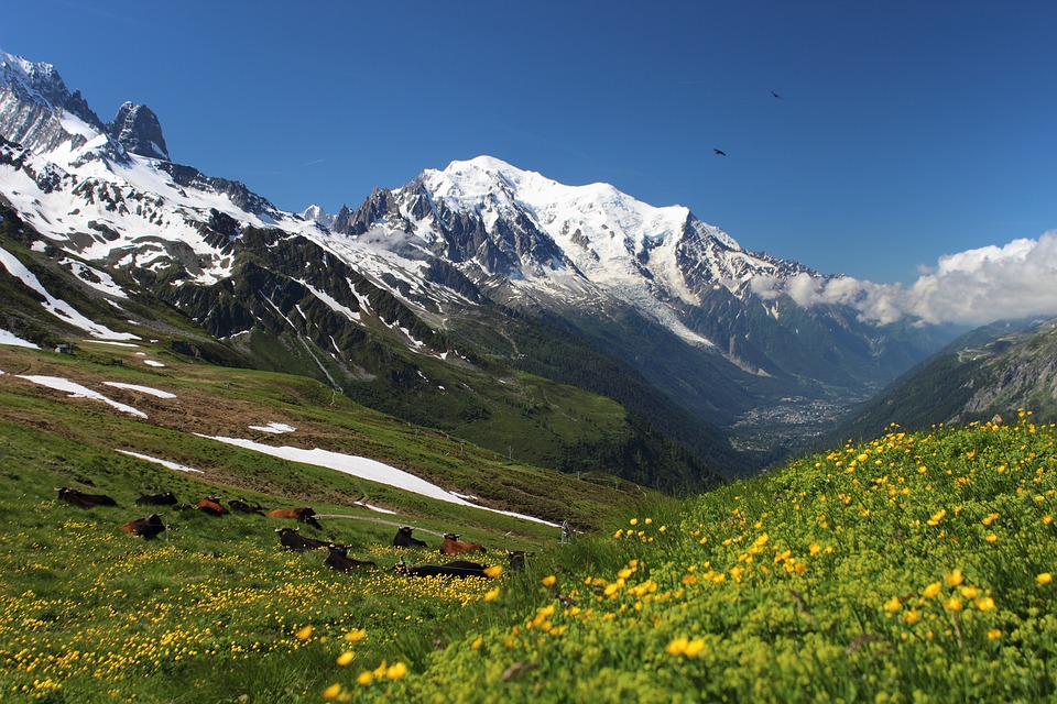 Ultramarathon du Mont Blanc