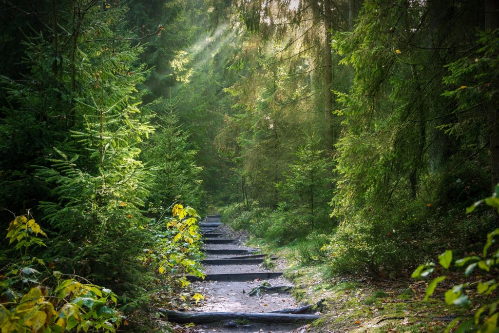 Trail Running